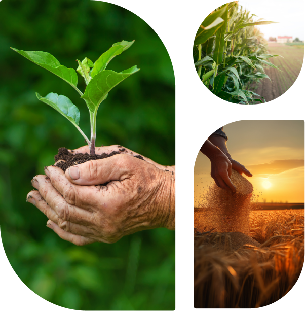 Agriculture activity showcase