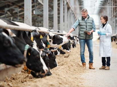 From Farm to Table an Agriculture