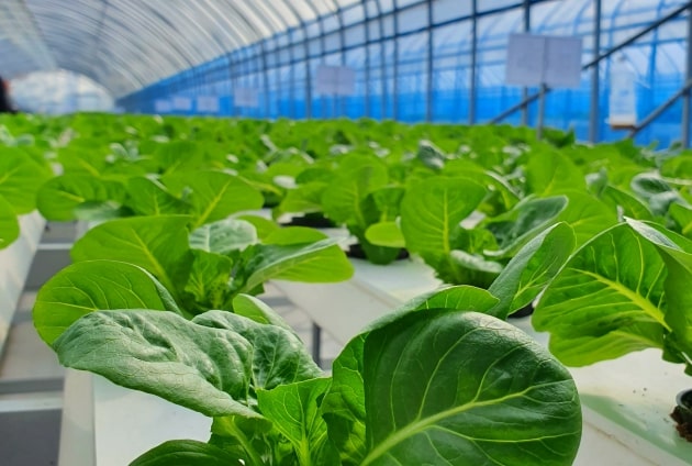 Farming for a Better Tomorrow – gallery 2